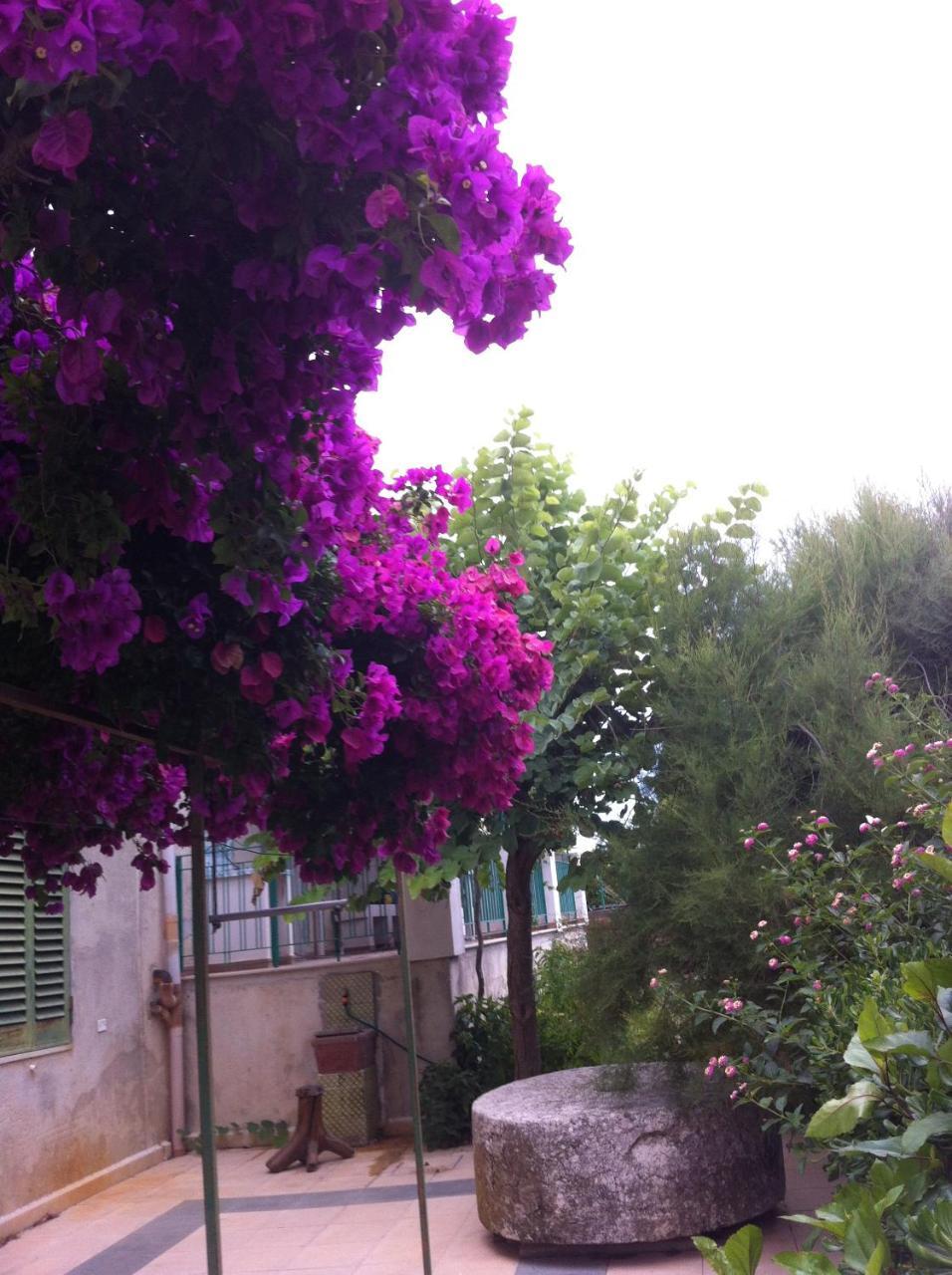 La Fattoria Guest House Sciacca Exterior photo
